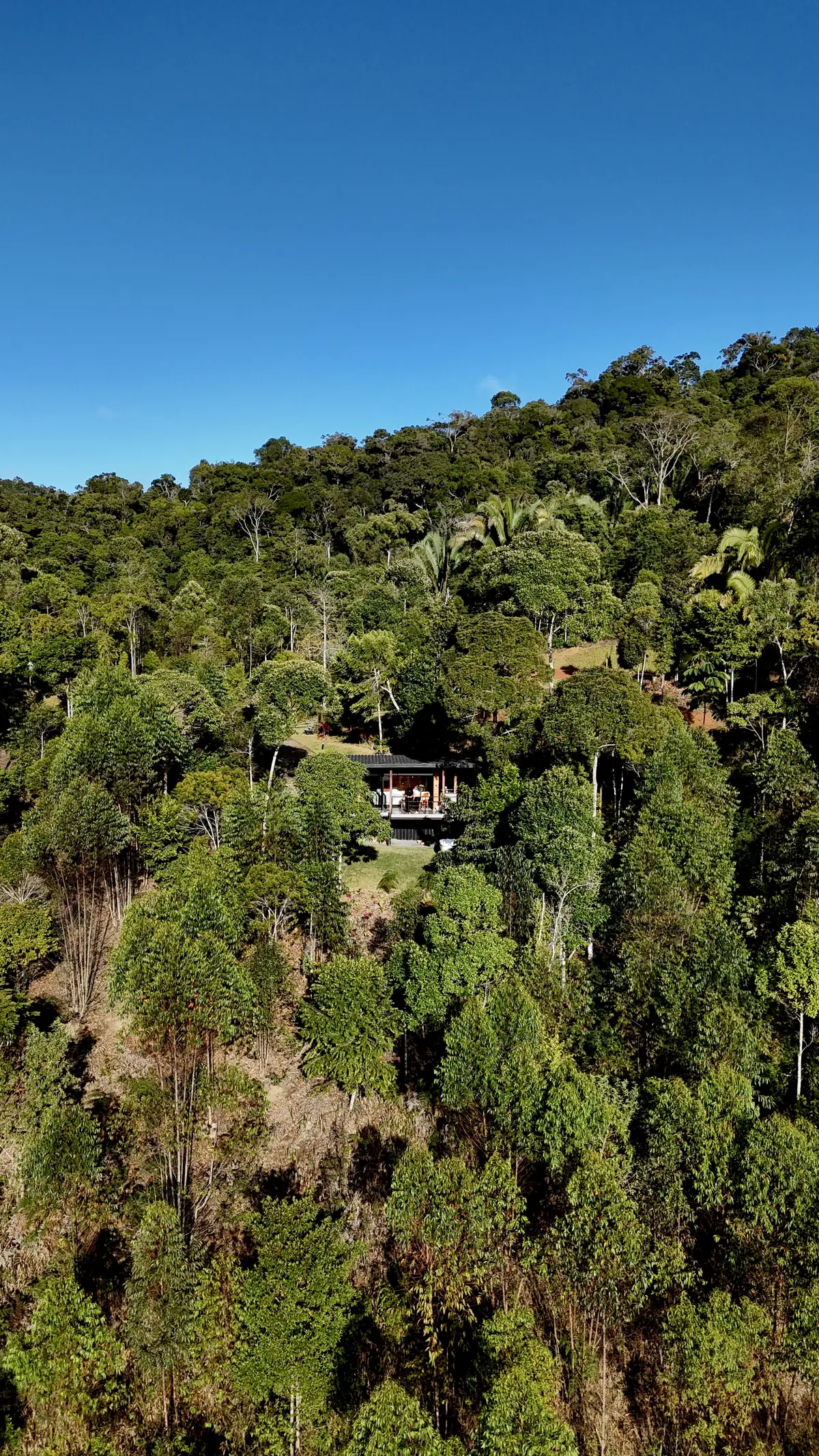 Cabana Floresta — foto 7