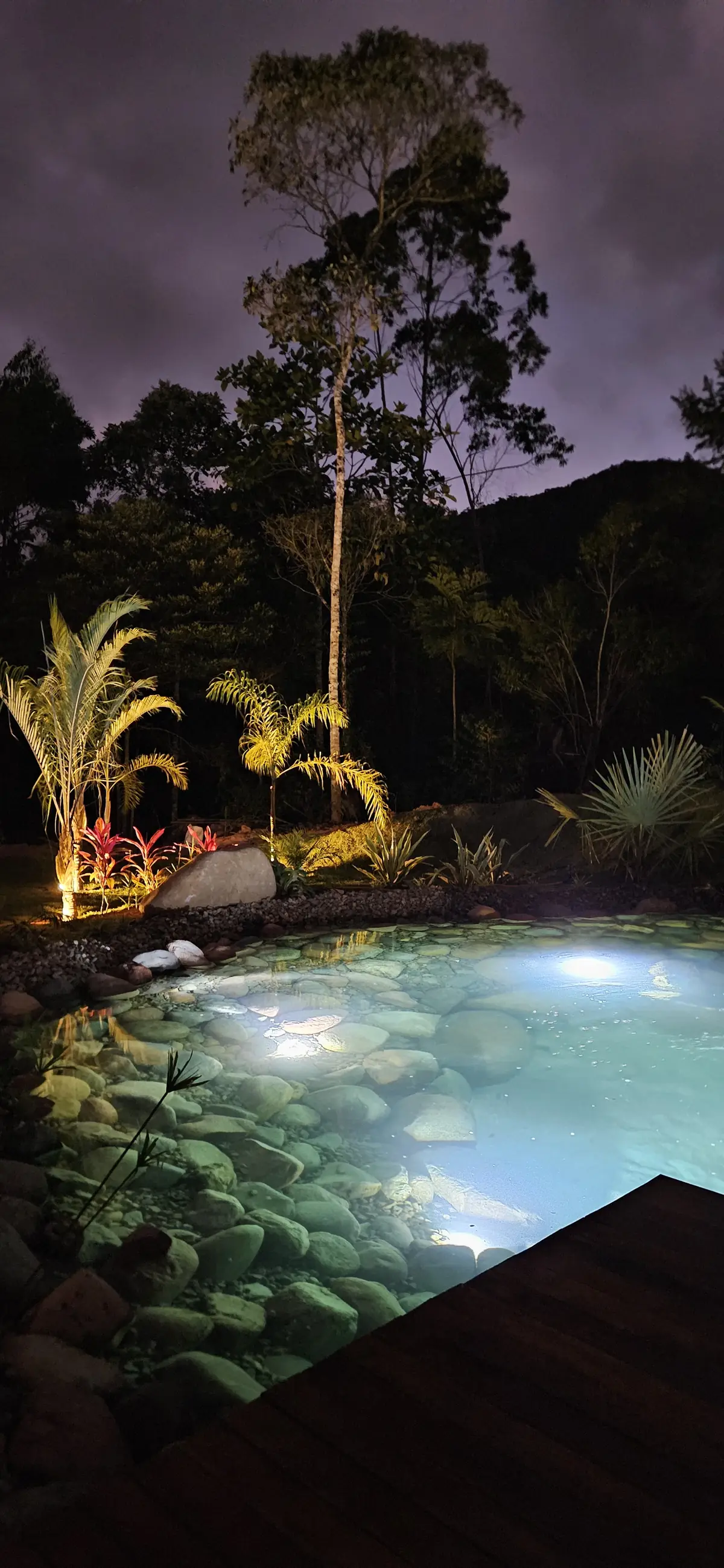 Piscina natural iluminada ao anoitecer, entre as palmeiras